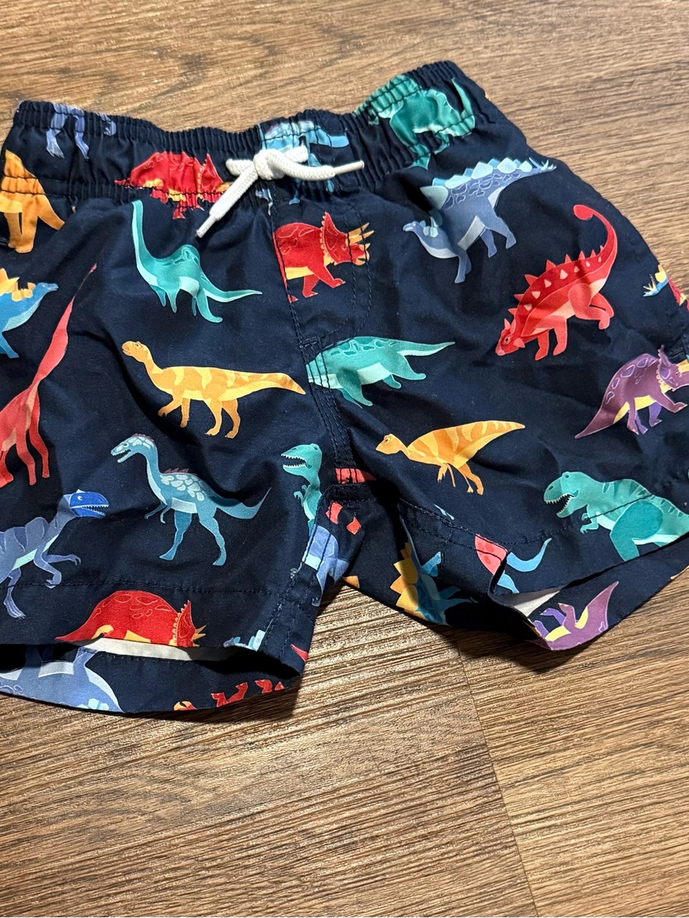 Unk Navy Multicolor Dinosaur Swim Trunks